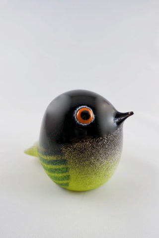 Birds by Doug Becker - Lake Superior Art Glass
