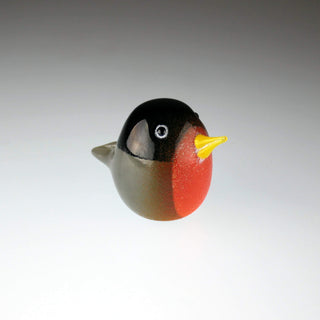 Birds by Doug Becker - Lake Superior Art Glass