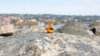 The Pumpkin Hunt Returns!