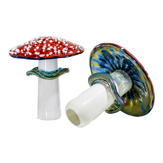 Red Cap Mushroom