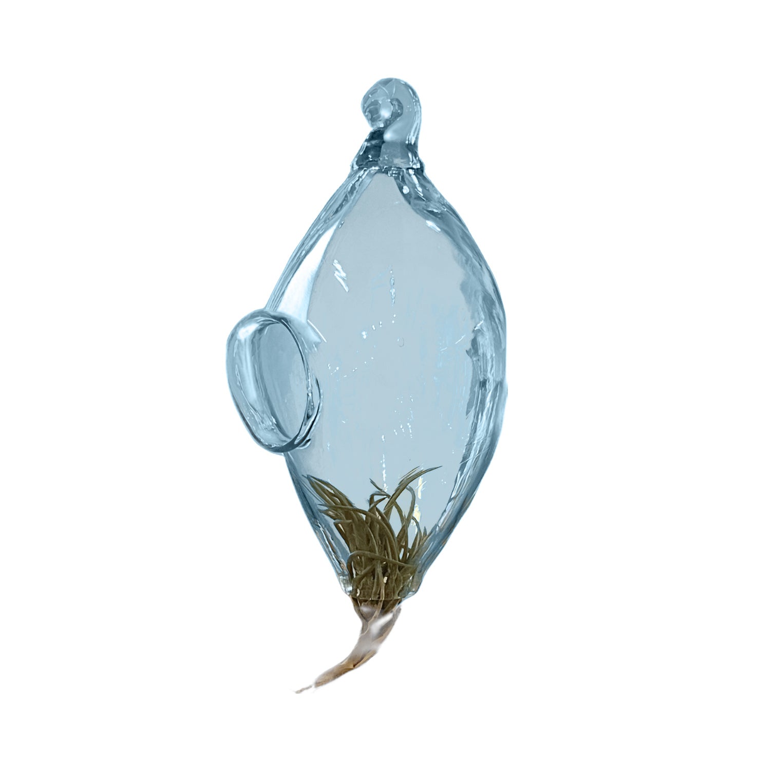 glass bowl hanging planter New Life Hanging Air Plant Holders – Lake Superior Art Glass